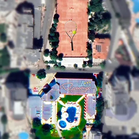Flamingo 3*