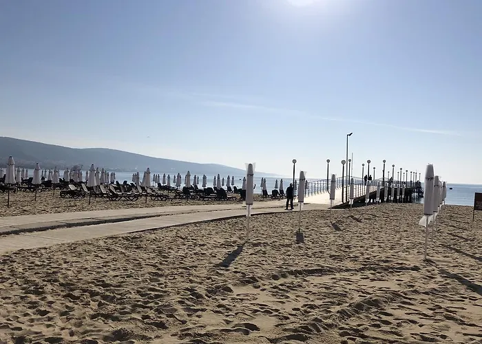 Flamingo Sunny Beach