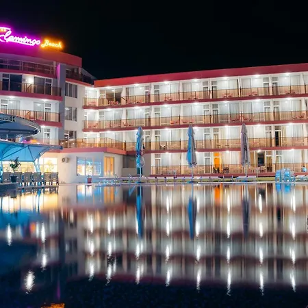 Flamingo فندق