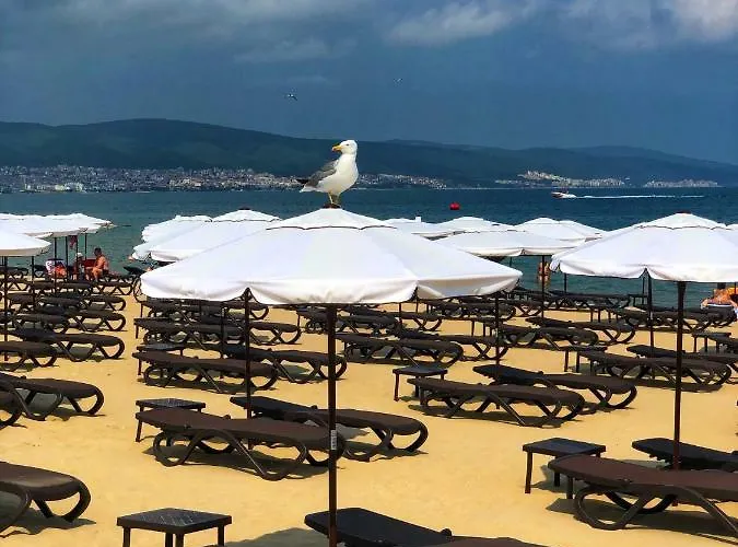 Szálloda Flamingo 3*